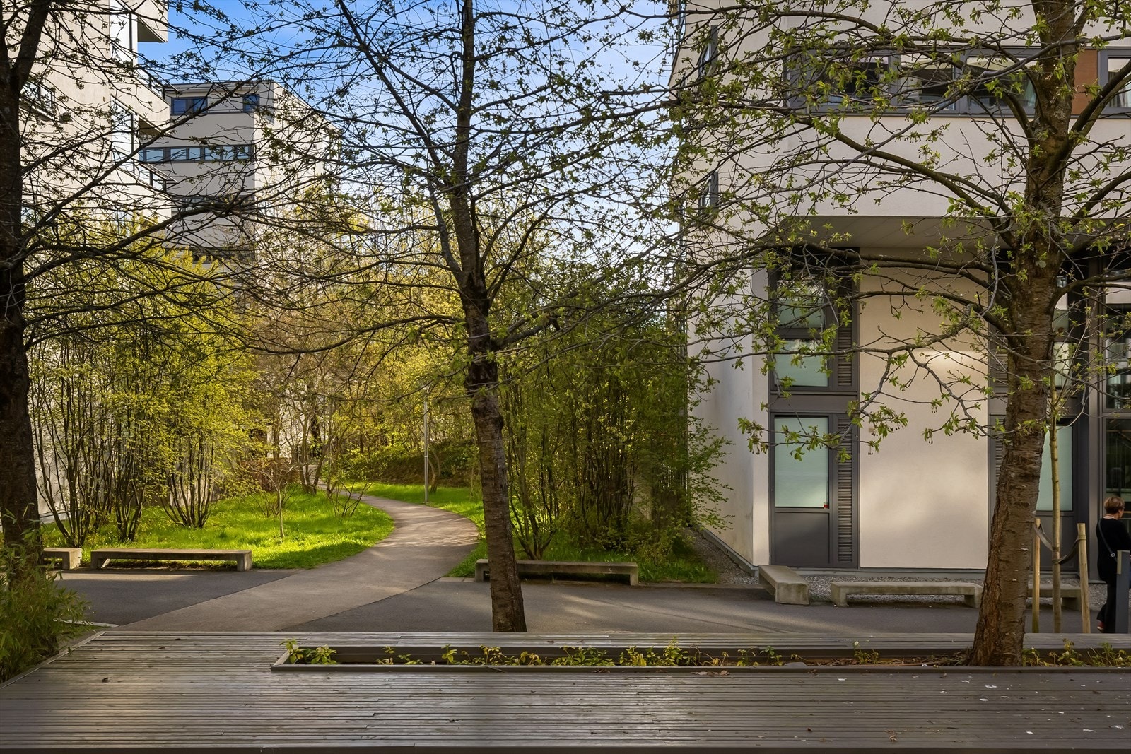 Pent opparbeidede fellesområder med gangveier, sittebenker og store grøntområder. Galleribilde