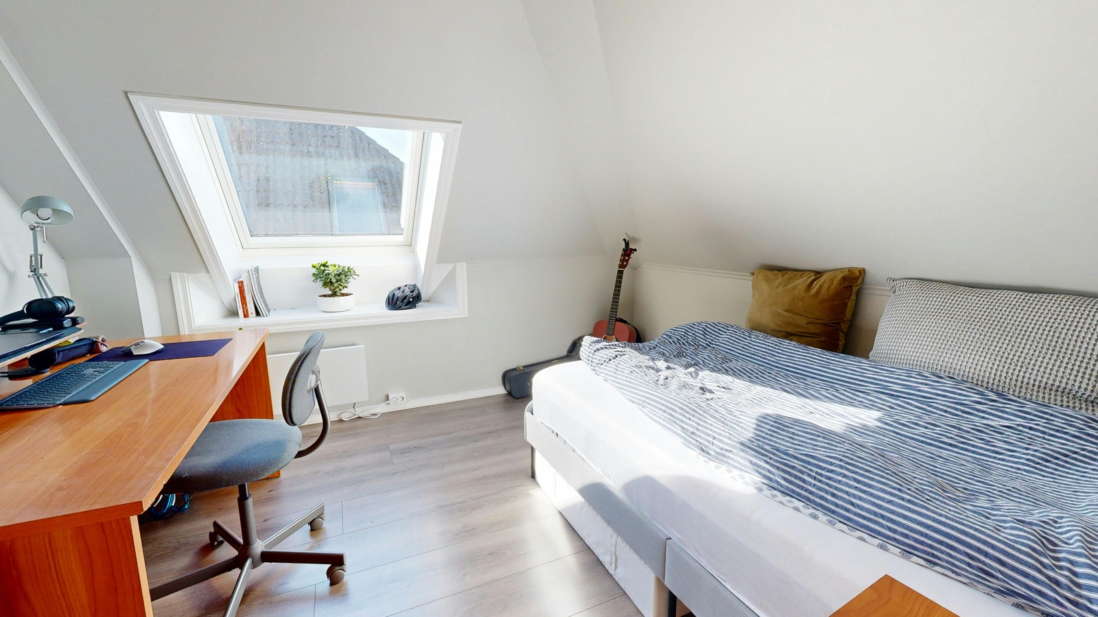 Sov 1 veldig store fine arealer Galleribilde