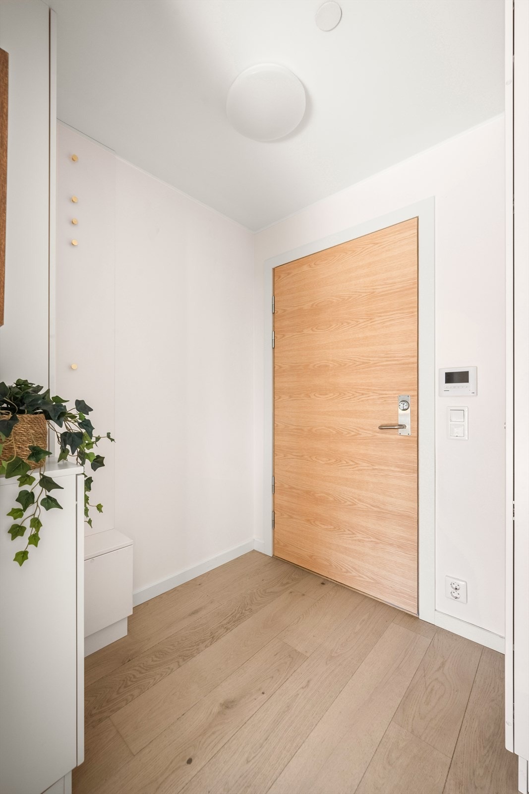 Denne perlen vil du ikke gå glipp av! Galleribilde