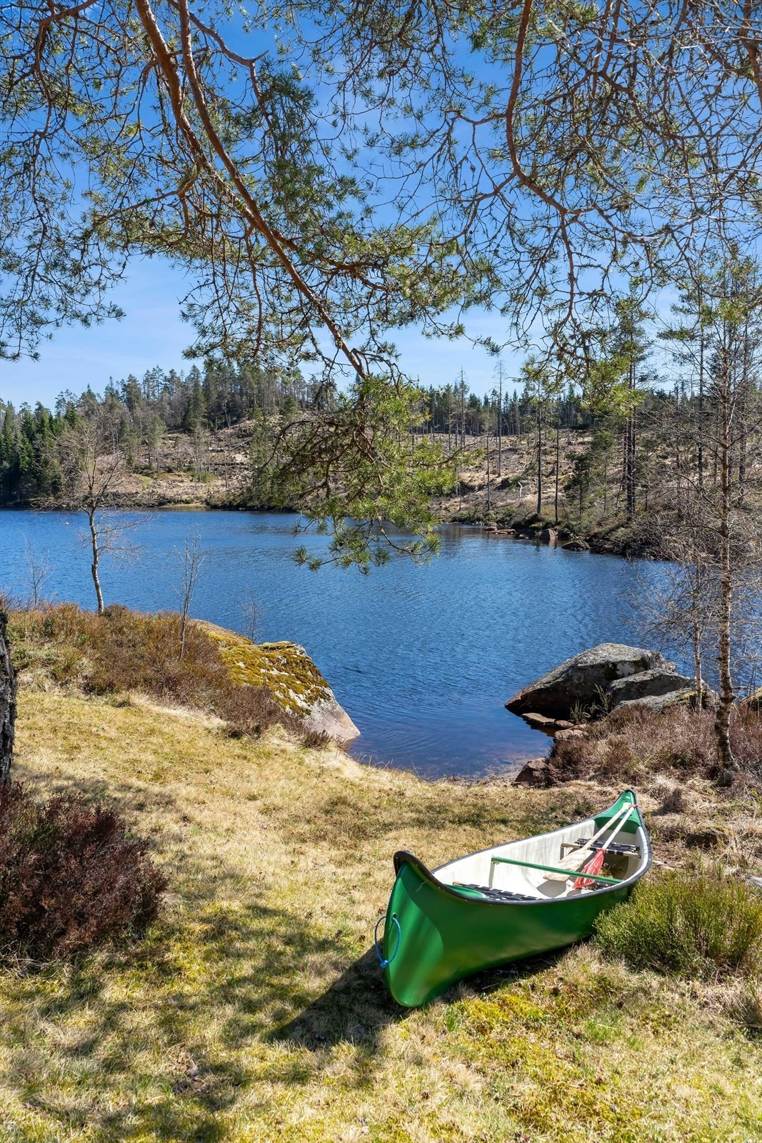 Tomten strekker seg helt ned til vannkanten og gir private og gode bade- og fiskemuligheter. Galleribilde