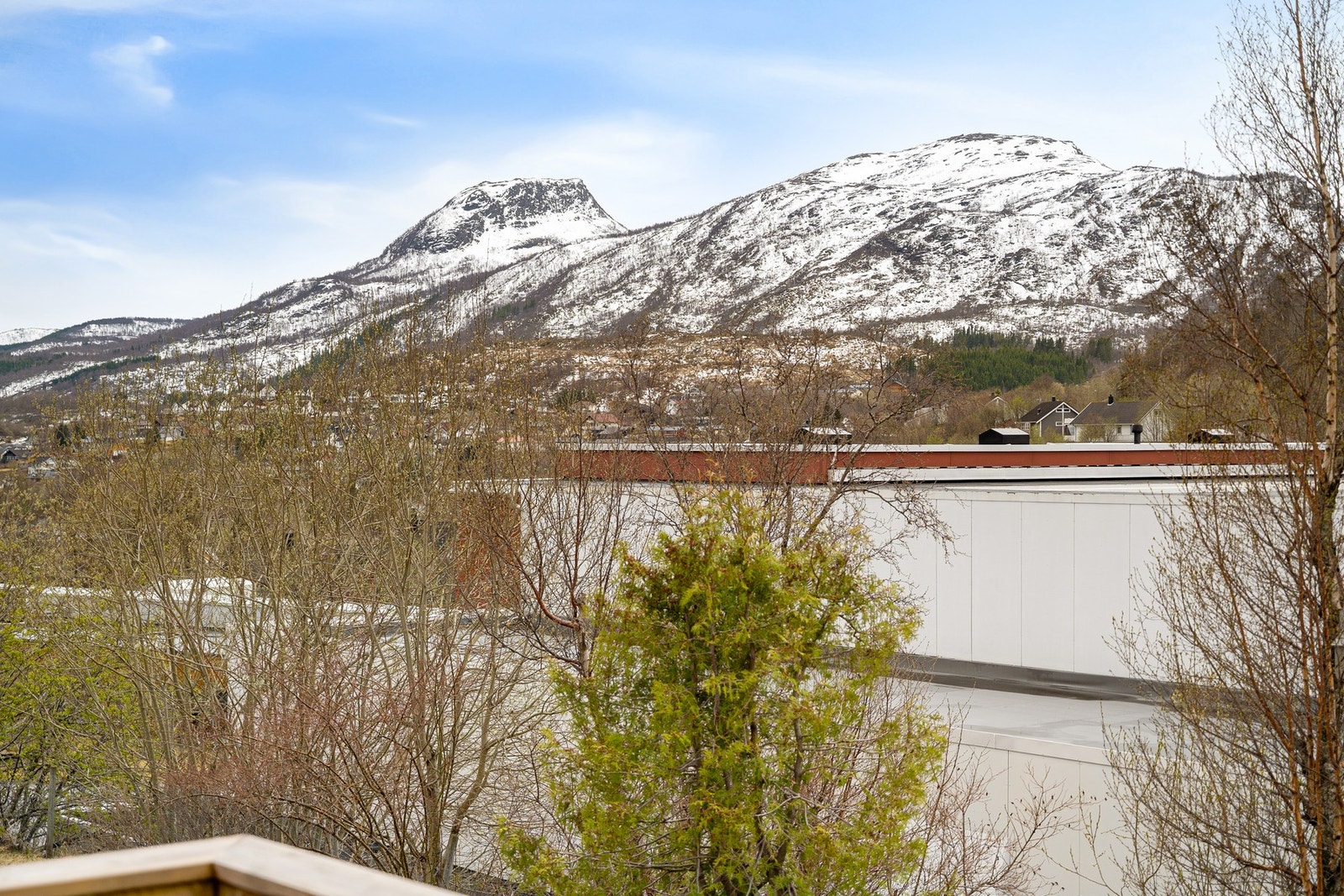 Utsikt over nærområdet og fjellene Galleribilde