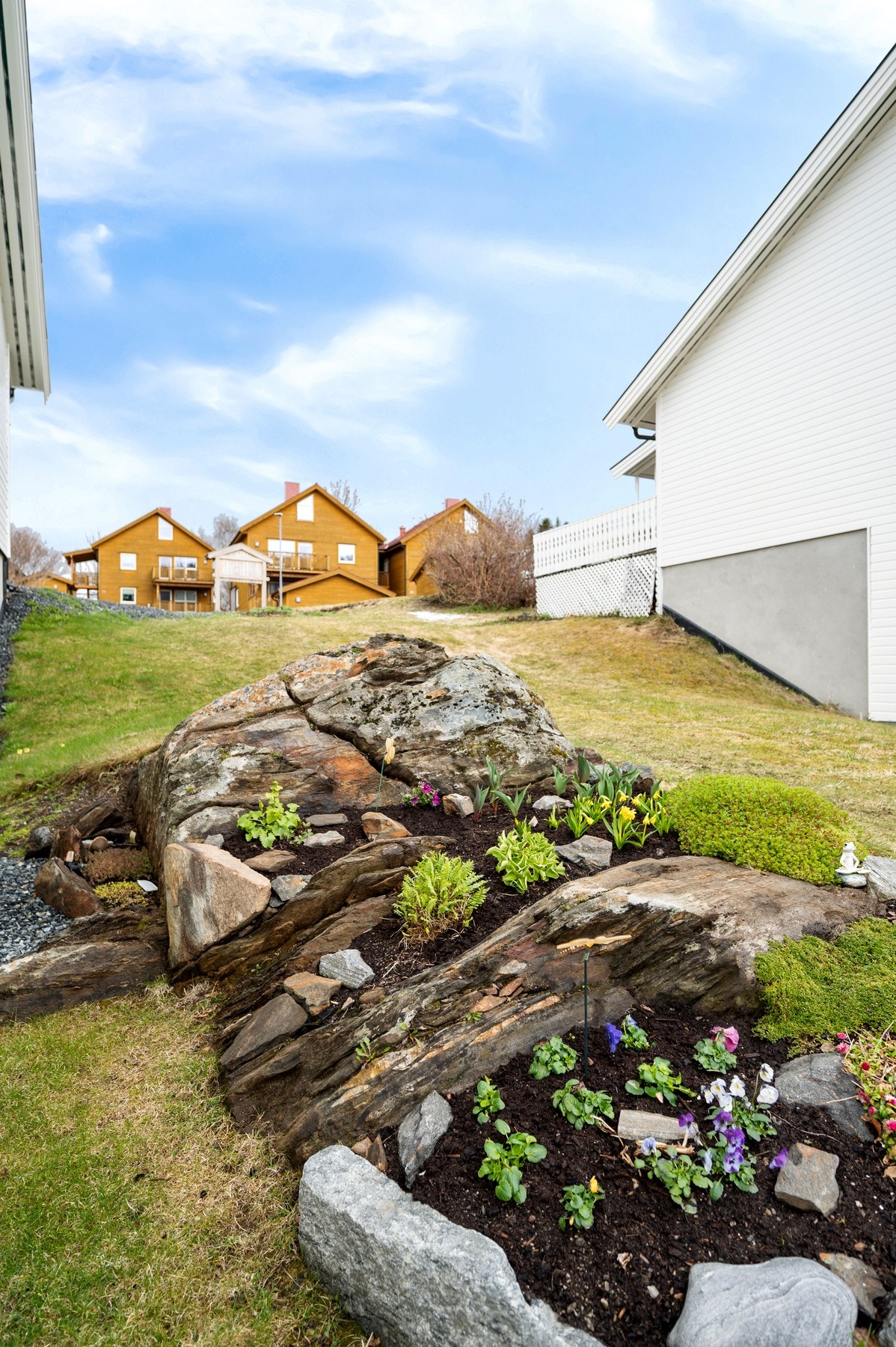 Pent opparbeidet hage med beplanting Galleribilde