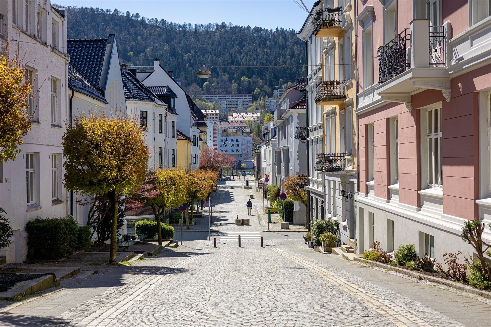 Nærområdet Galleribilde