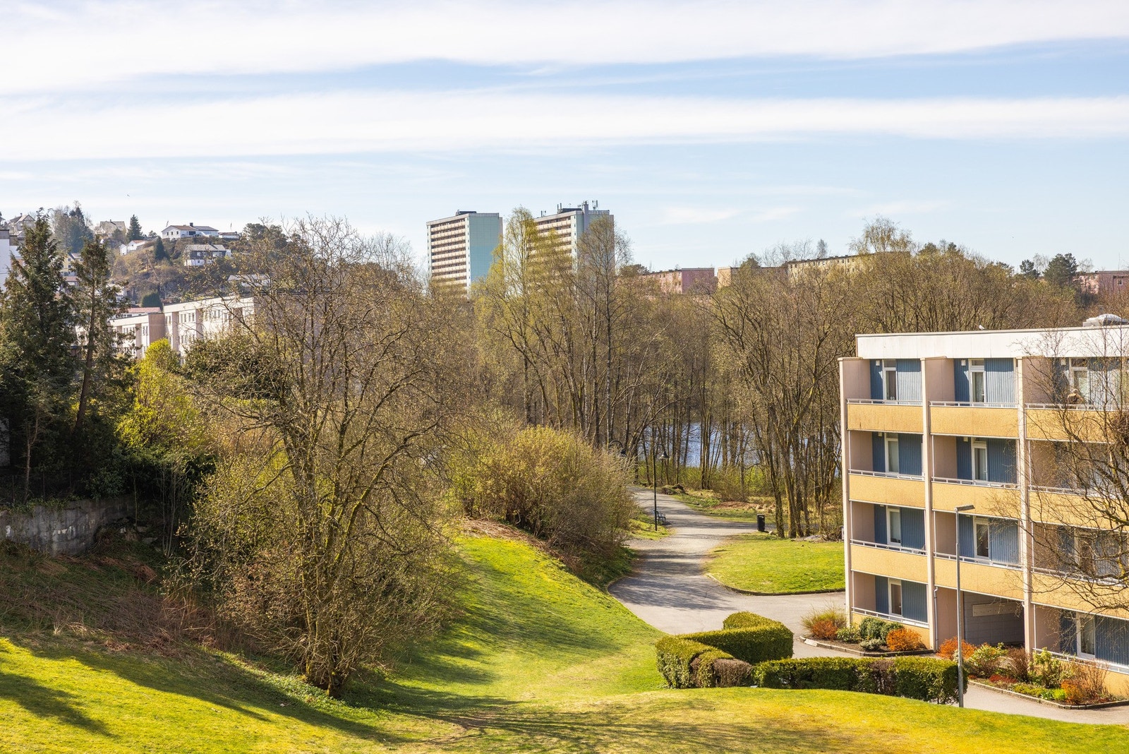 Fin utsikt over nærområdet. Galleribilde