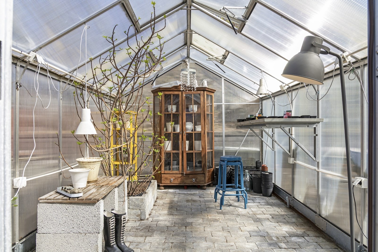 Drivhus Galleribilde