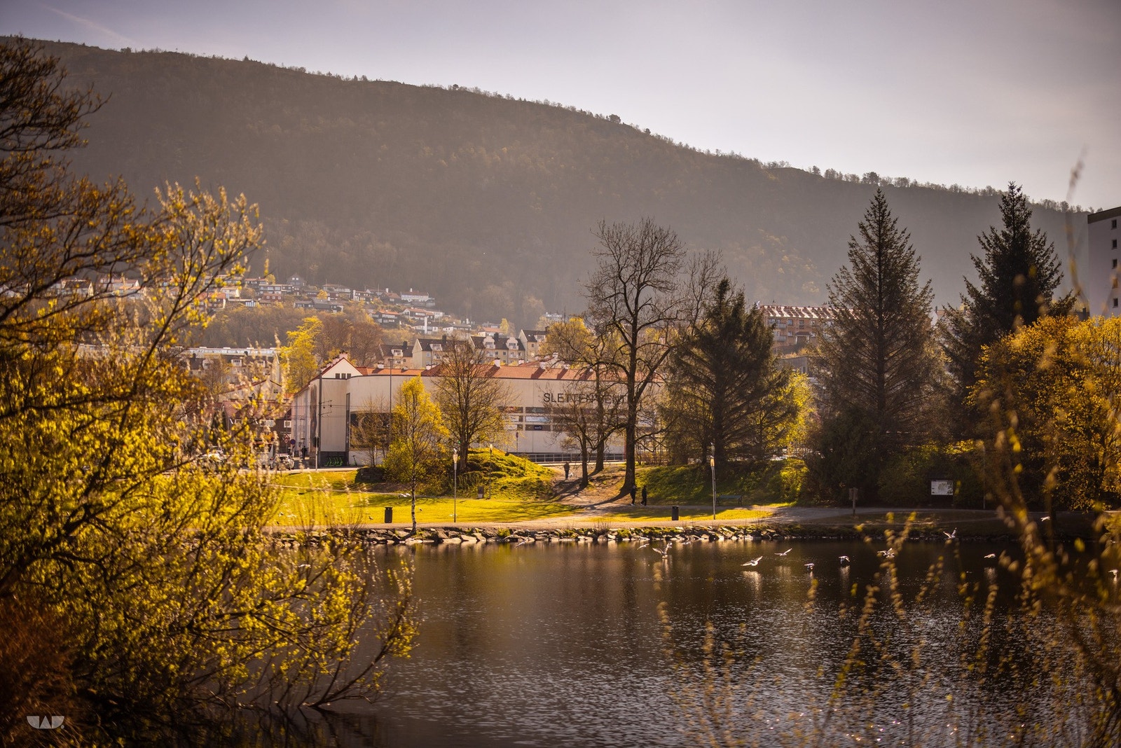 Galleribilde