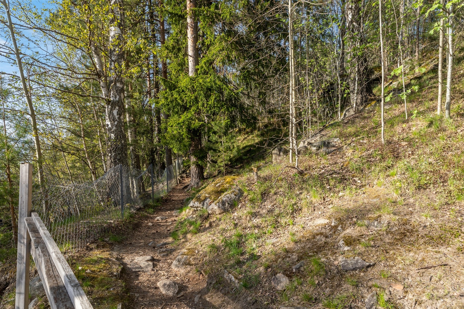 Naturnær beliggenhet med direkte tilgang til skogen og kort vei til Bøler og skole. Galleribilde