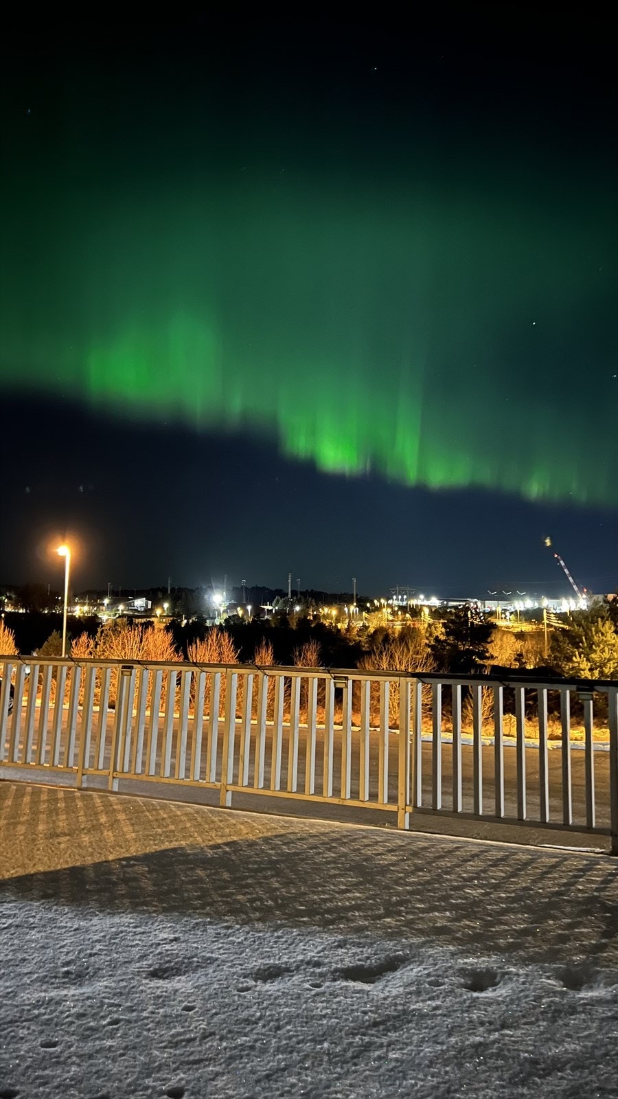 - Nordlys selgers bilde - Galleribilde