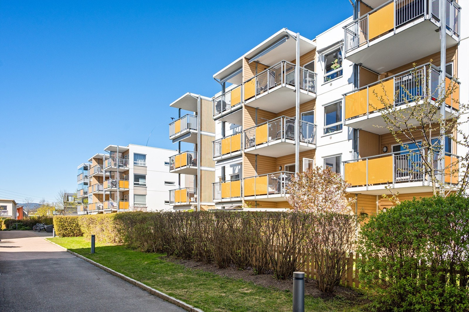 Fasade. Galleribilde