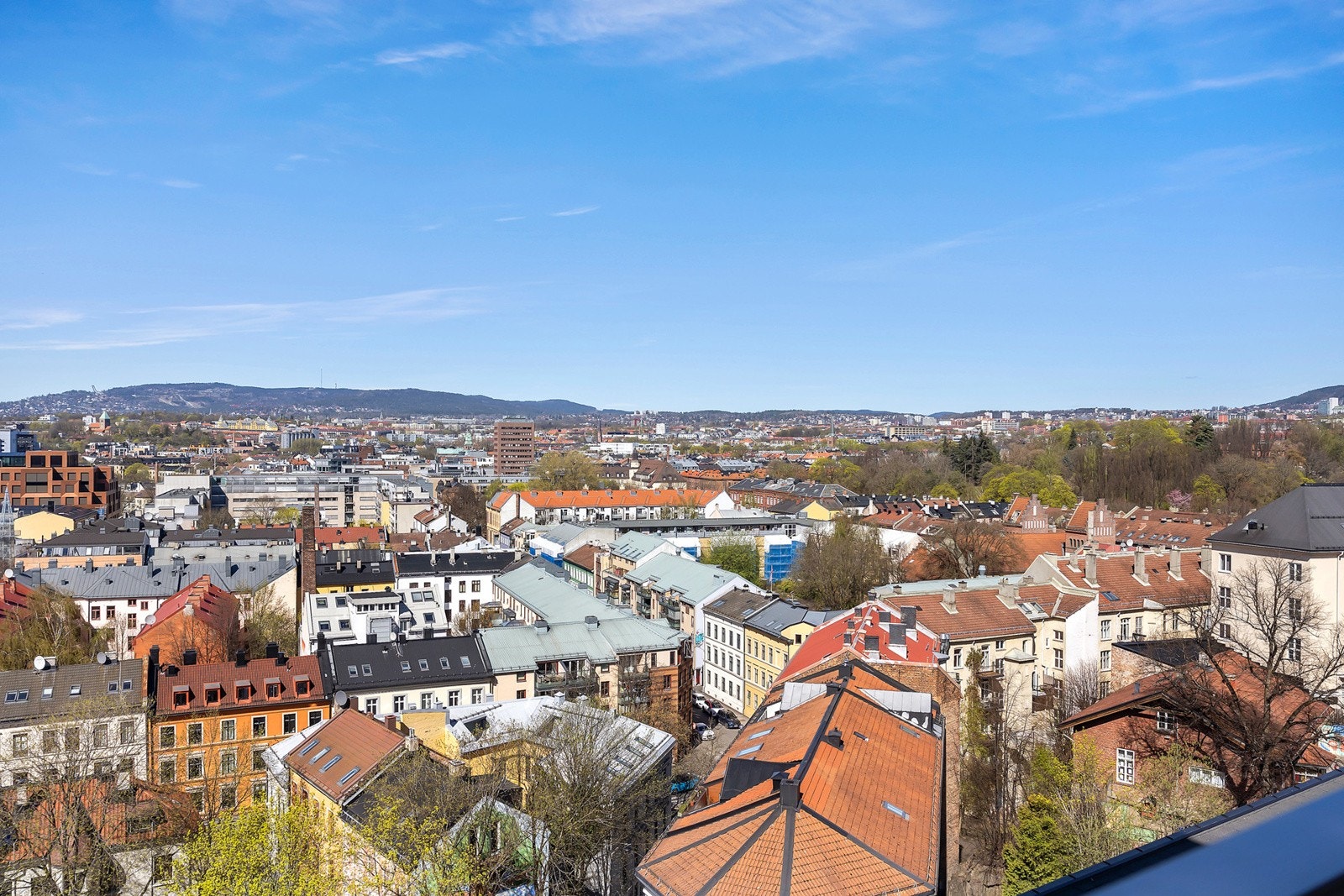Botanisk hage og Tøyenparken ligger kun et par minutters gange fra leiligheten Galleribilde