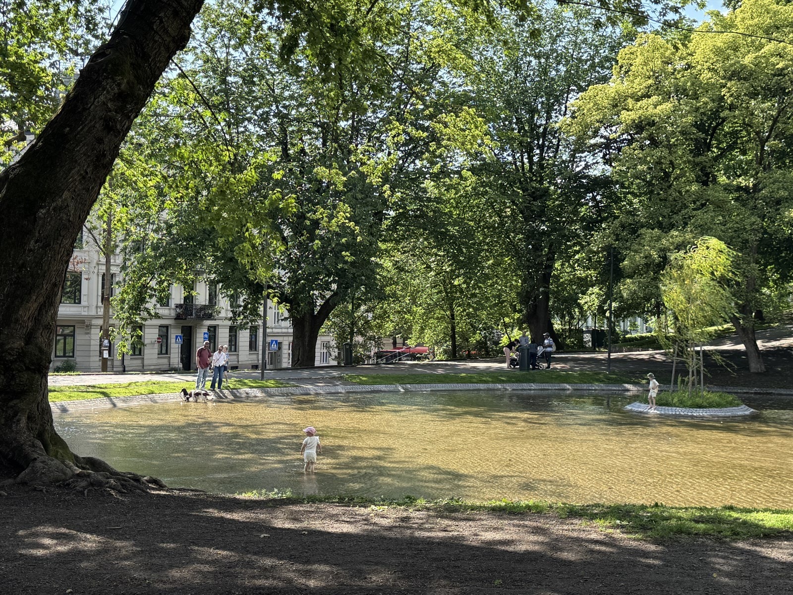 Områdebilde. Galleribilde