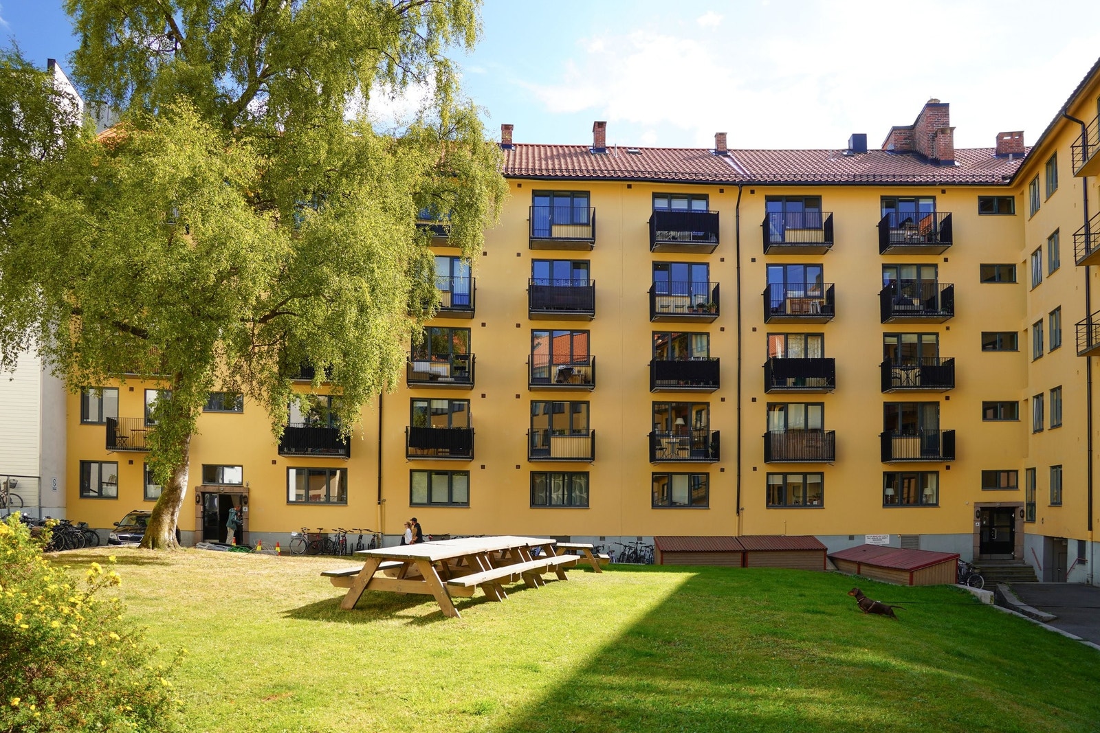 Fint opparbeidet og solrik bakgård med benker og grill. Husdyr er tillatt iht. ordensregler. Galleribilde