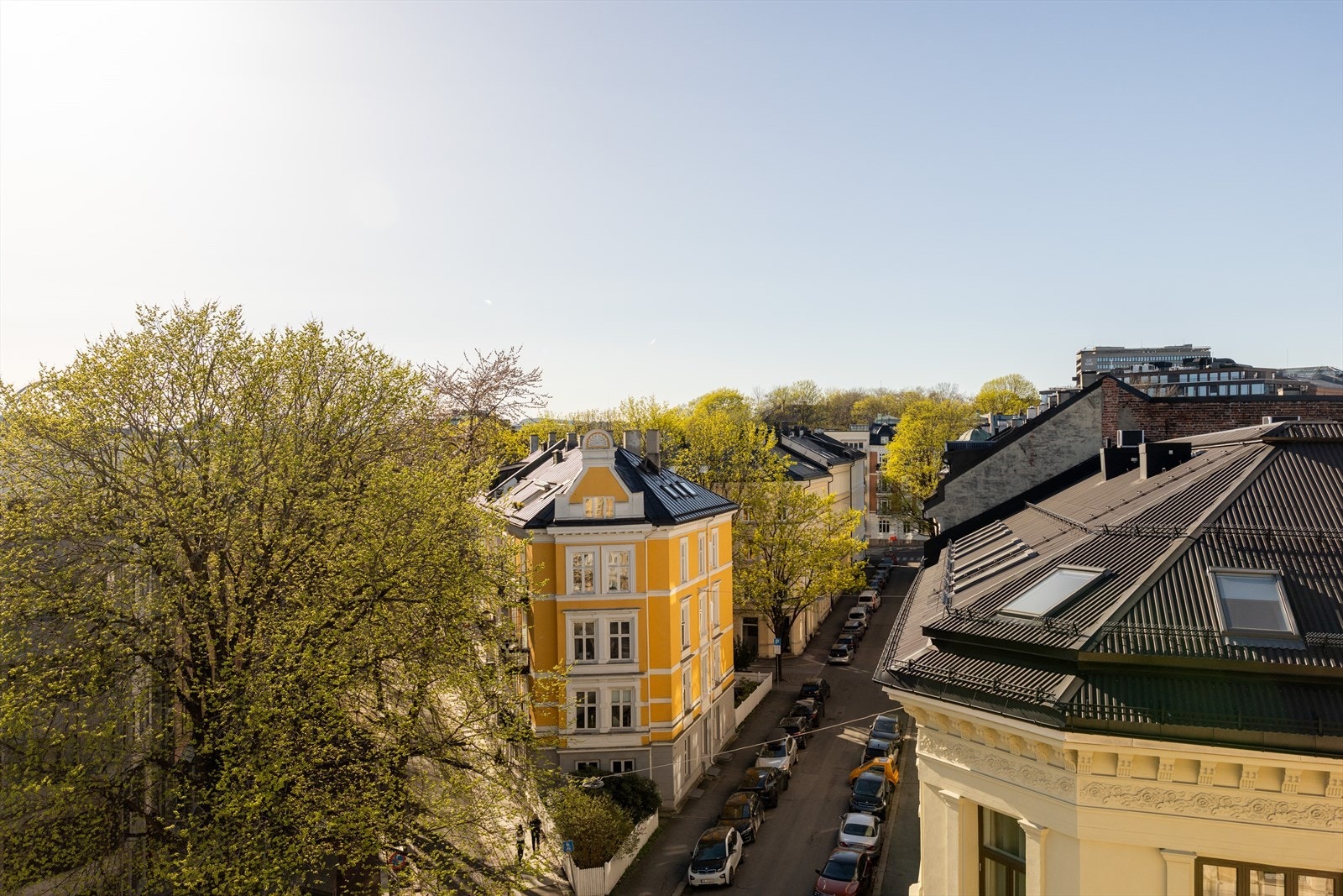 Et flott utsyn fra stuen. Galleribilde