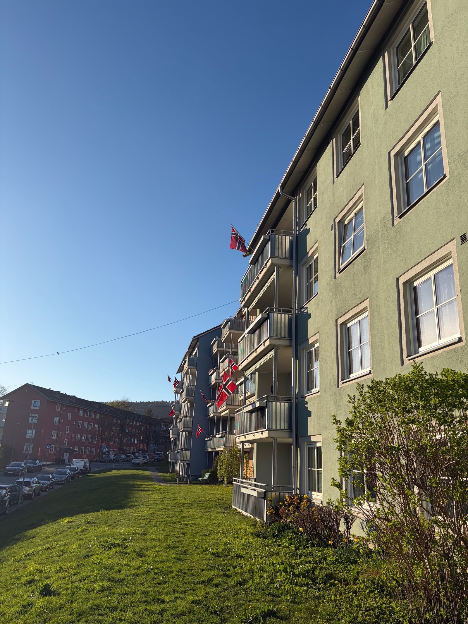 Stor gressplen nedenfor leiligheten. Galleribilde