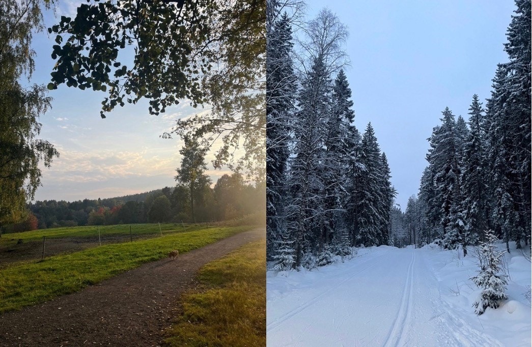 Kort vei til Lillomarka. Her er det uendelig med turstier og flotte preparerte skiløyper om vinteren. Galleribilde