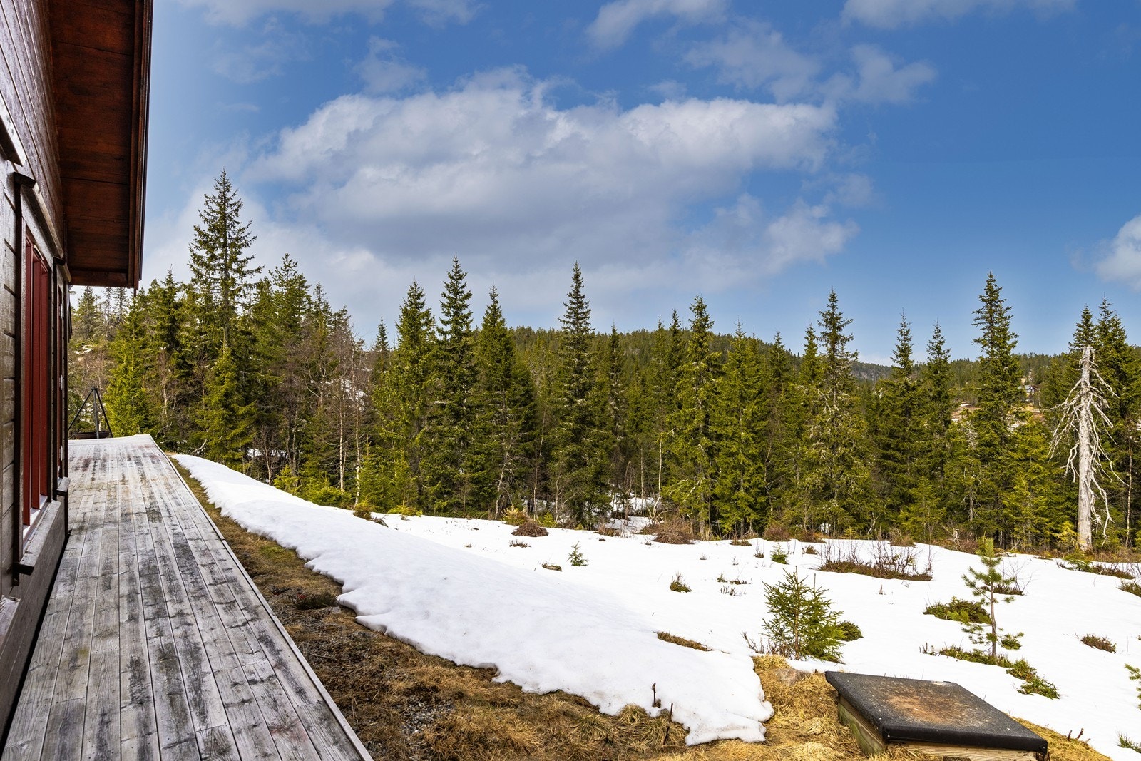 Fra terrassen har man utsikt over naturtomten og skogen. Galleribilde