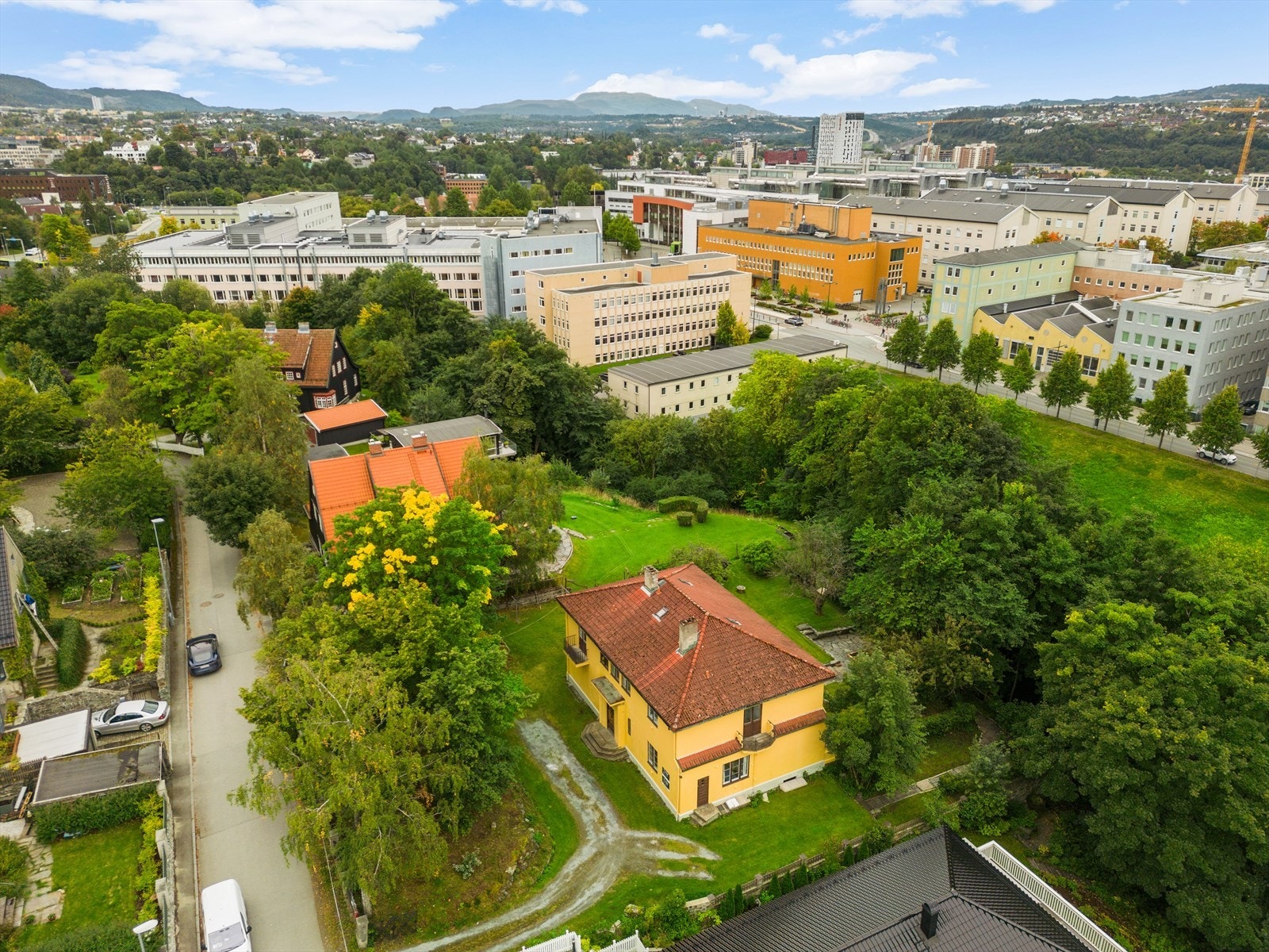 Velkommen til trivelig visning! Galleribilde