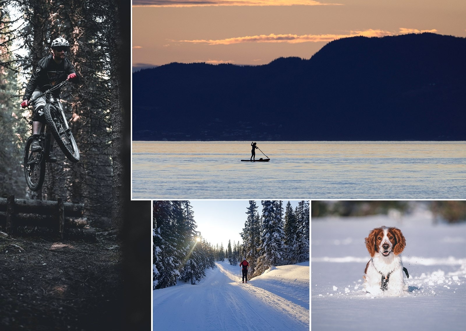 Enten om du vil teste sykkelferdighetene i skogsløpa, bedrive vannsport eller gå på tur til fots eller ski så er det meste rett i nærheten. Galleribilde
