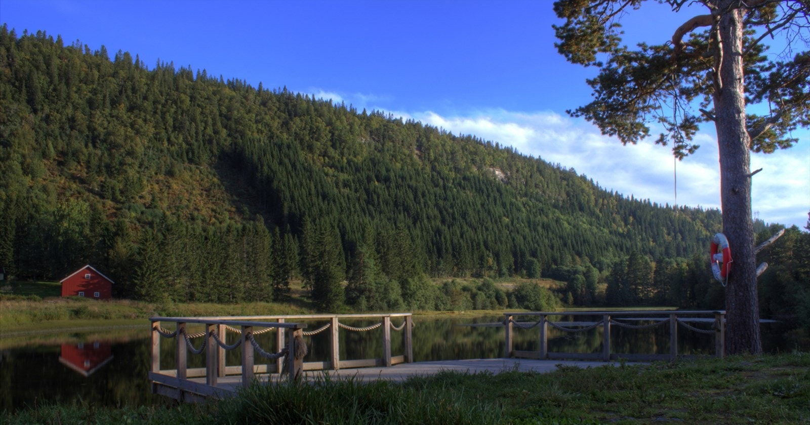 Ikke langt fra boligen ligger Nydammen på Vikåsen. Ta en dukkert og stikk innom den lokale Bunnprisbutikken og kjøp en is eller to. Langs Vikelven finnes det mange sitterplasser hvor man kan nyte naturen. Galleribilde