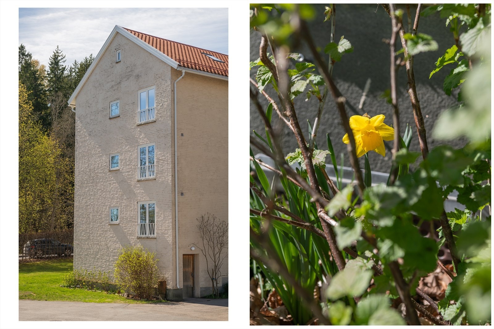 Et veldrevet og attraktivt sameie. Galleribilde