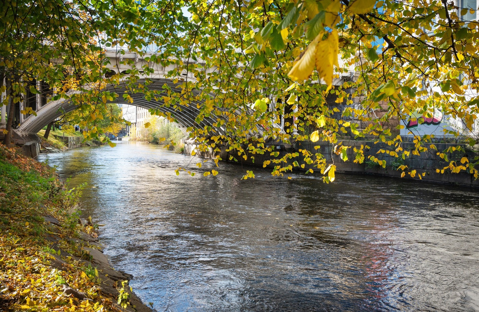 Flotte turmuligheter langs Akerselva! Galleribilde