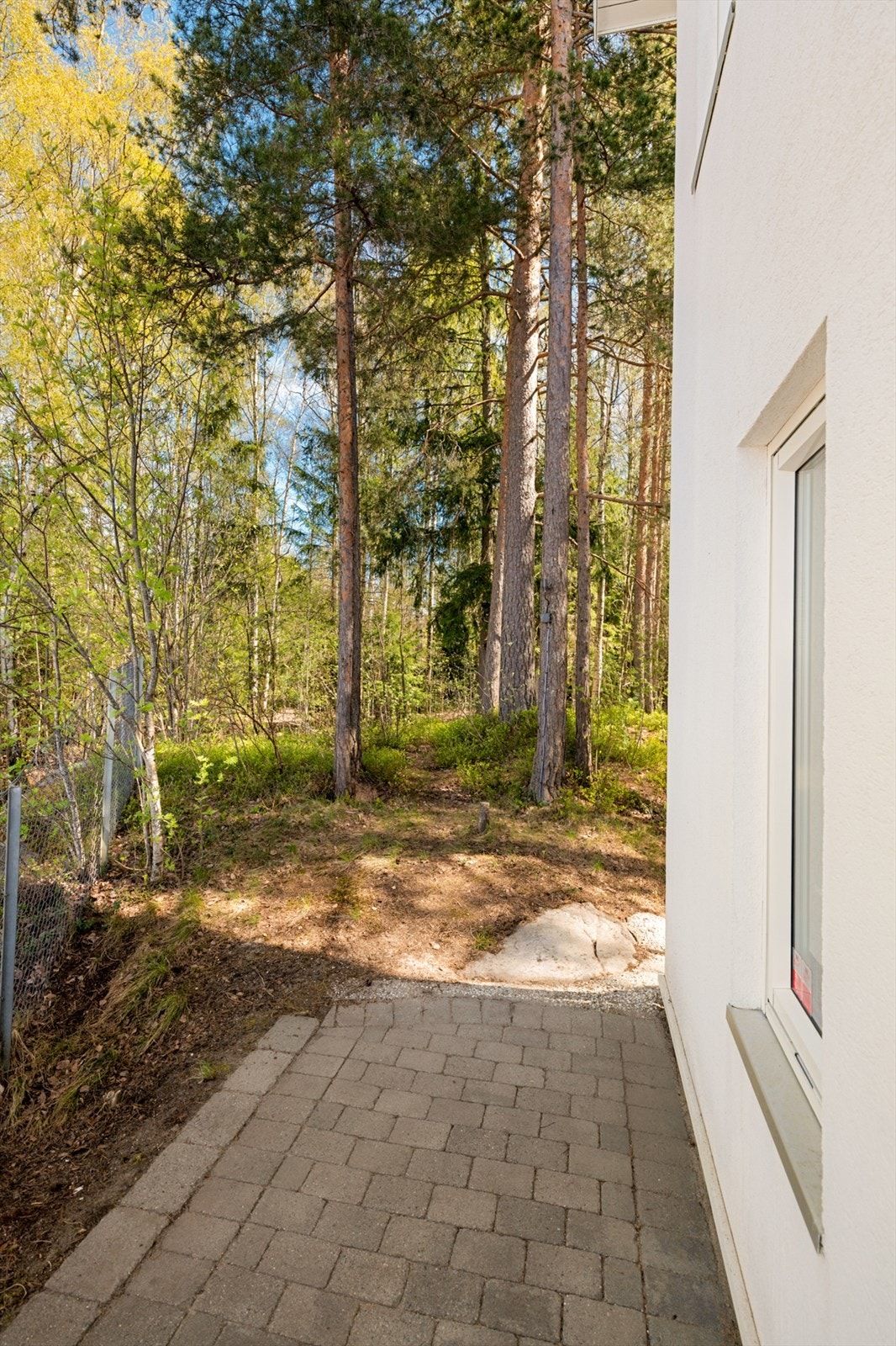 Bak huset er det egen sti til skogen med fine turmuligheter. Galleribilde