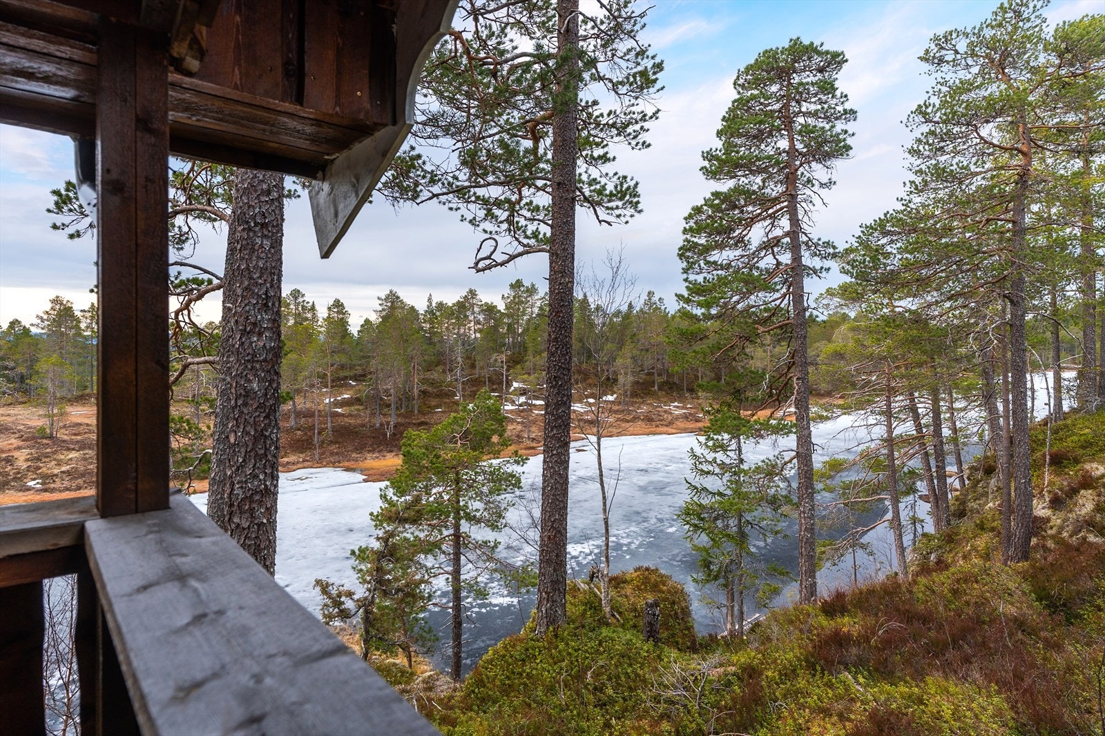 Eiendommen ligger like ved Lomtjønna med muligheter for bading, fiske og opphold ved vannkanten Galleribilde