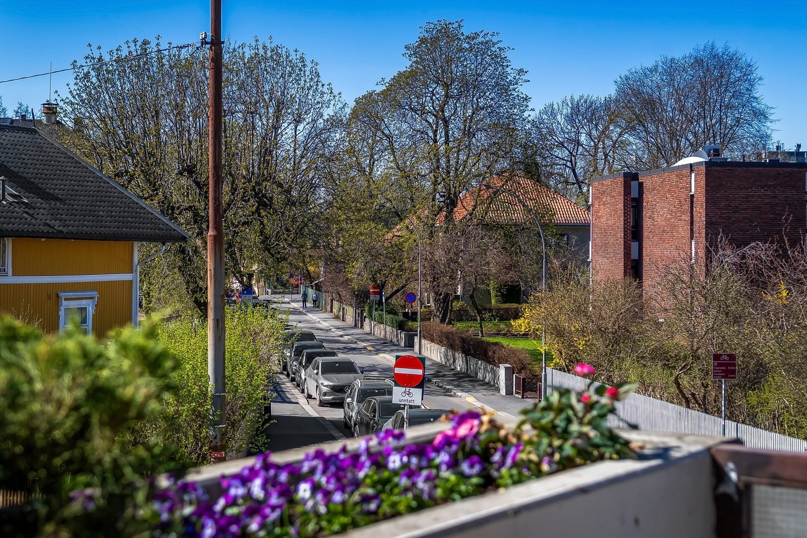 Pent utsyn mot rolig villaområde Galleribilde