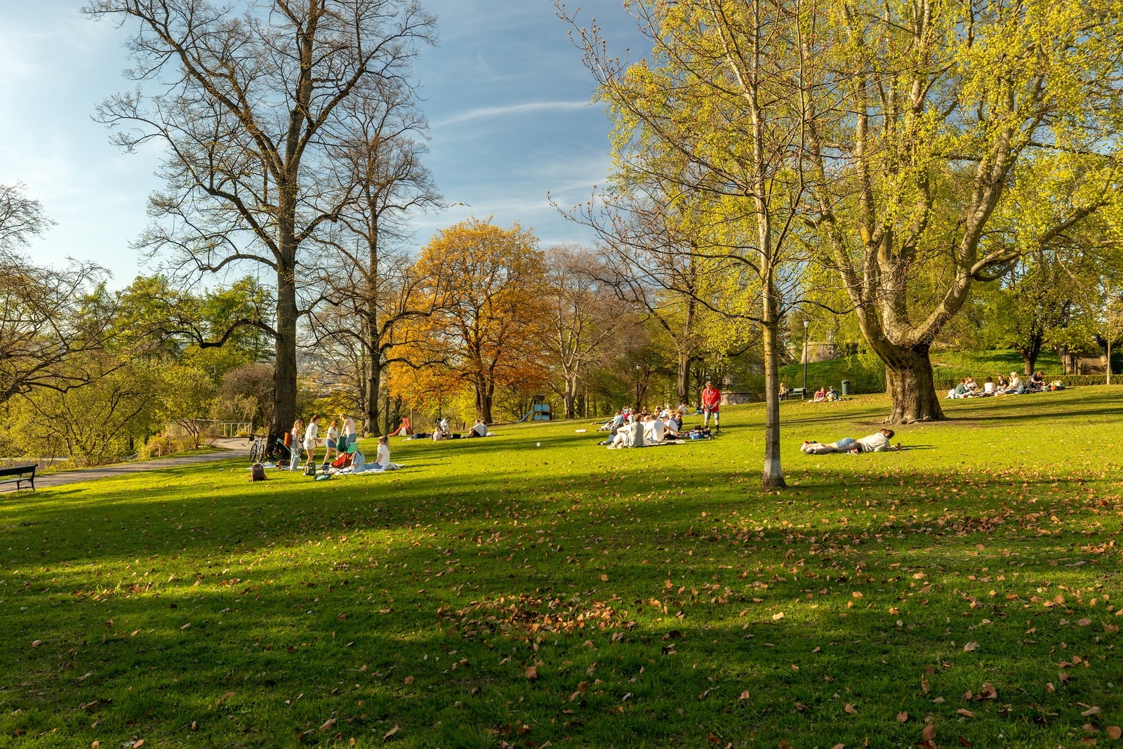 Kampen park er nærmeste nabo Galleribilde