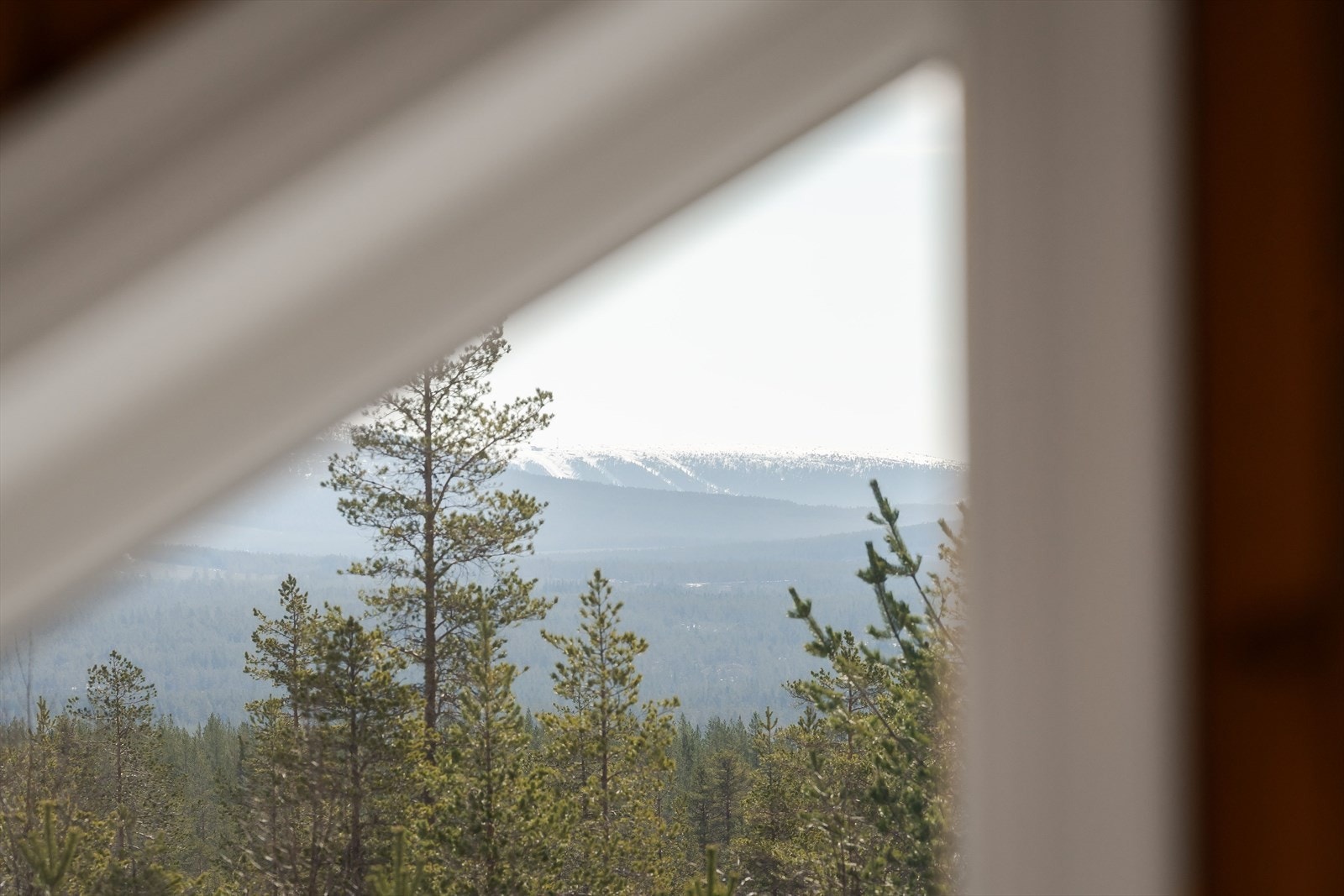 Fra hytta kan man nyte utsikten mot skog og fjell. Galleribilde