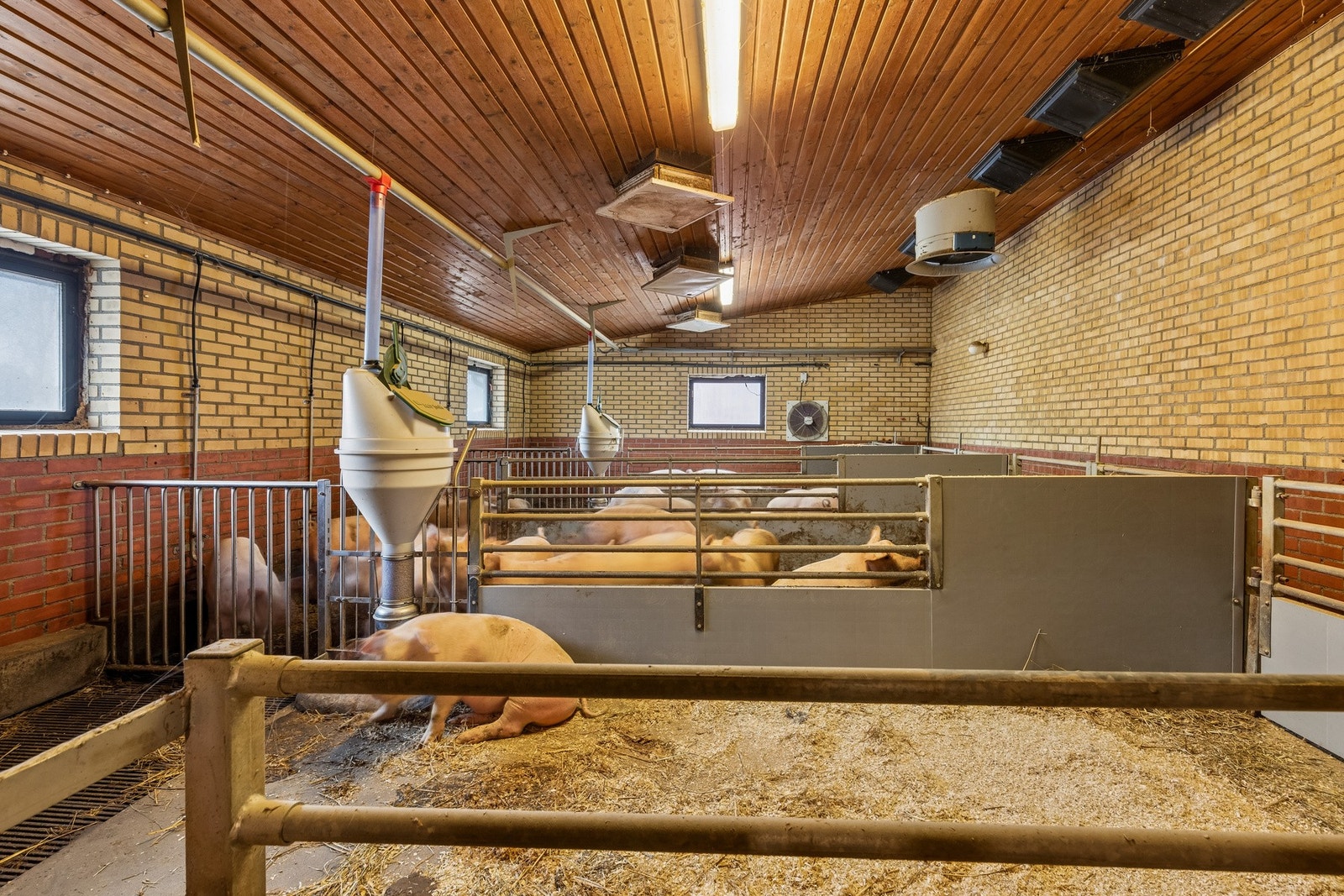 Hovedproduksjonen de siste årene har vært slaktegris i fire avdelinger i driftsbygningen, og med en total konsesjon på 2.750 slaktegris (konsesjonsfritt antall er 2.100 slaktegris). Galleribilde