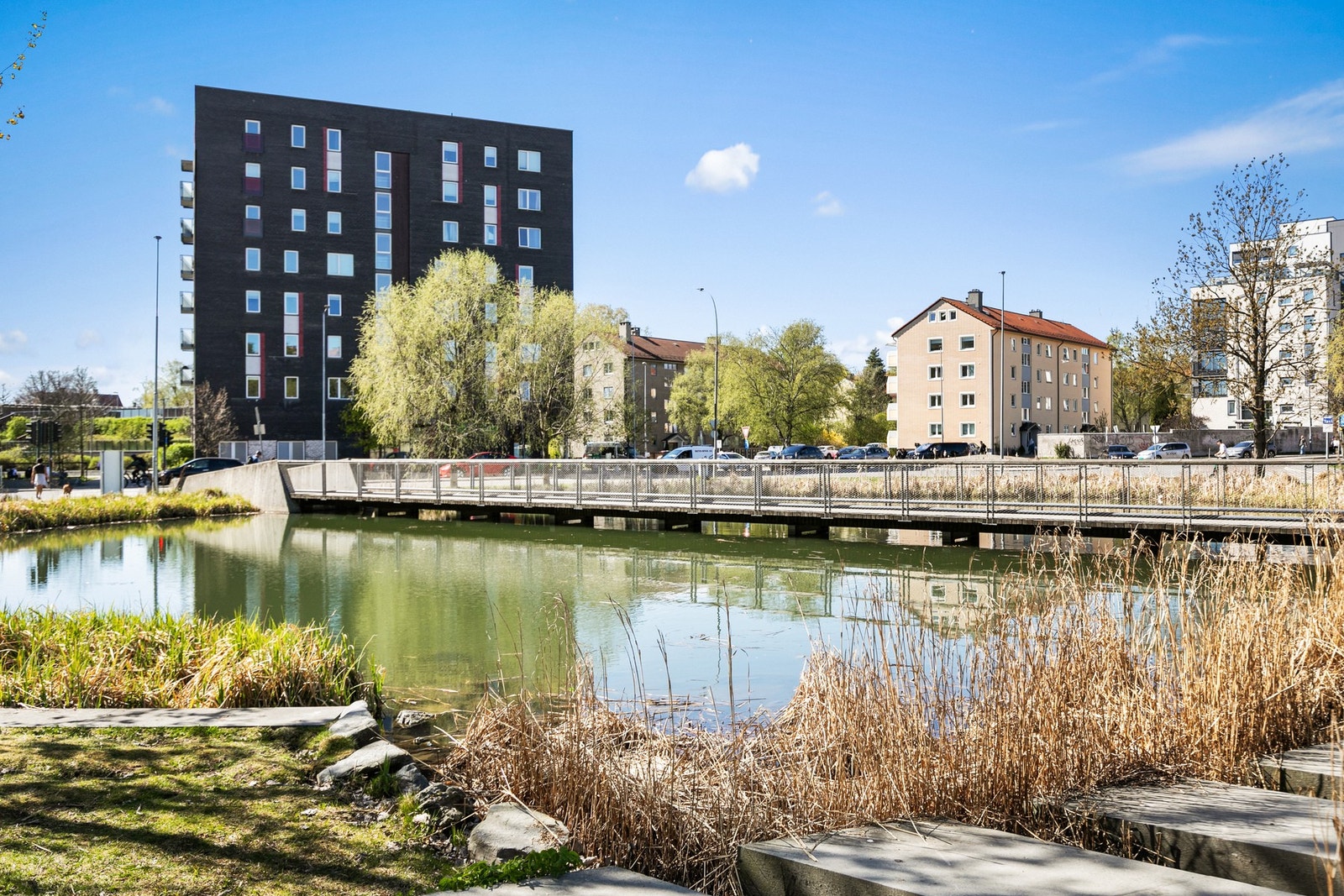 Hovindammen rett utenfor døren. Galleribilde
