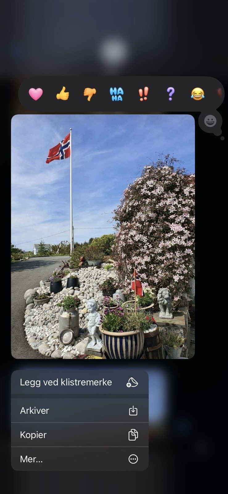 hage hellesøy.jpg Galleribilde