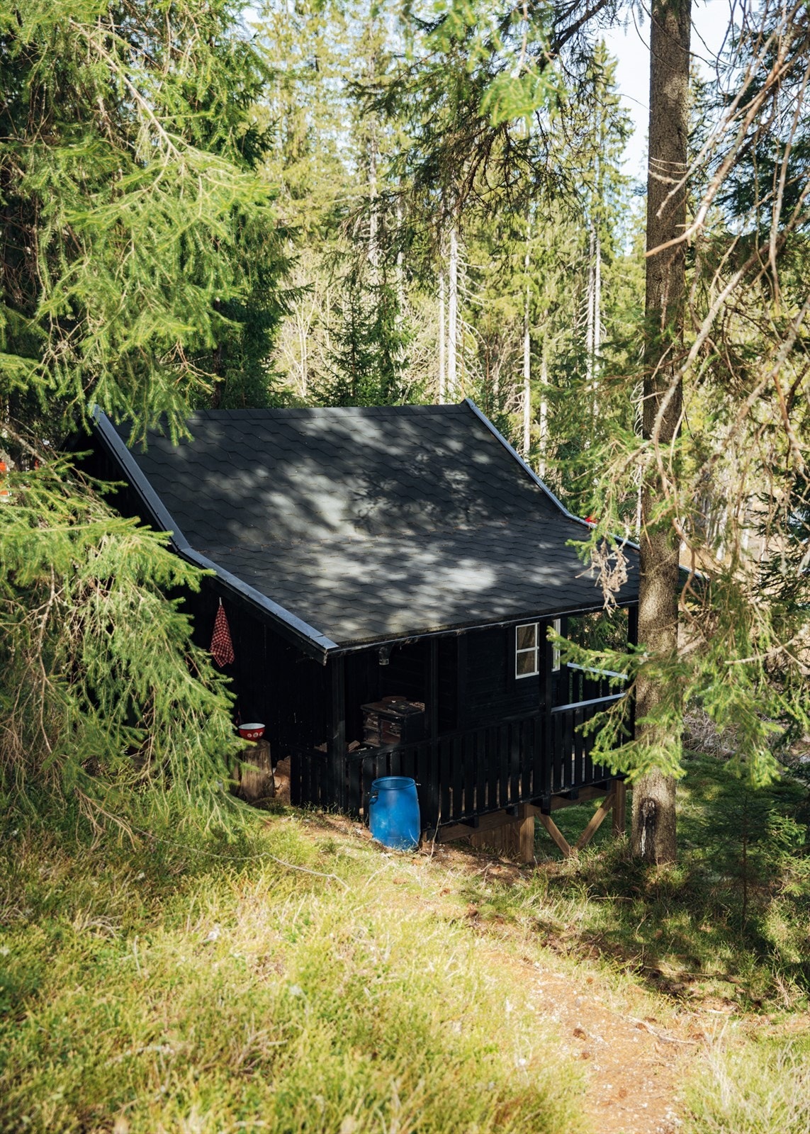 Uthus rett nedenfor hytta med mange bruksmuligheter Galleribilde