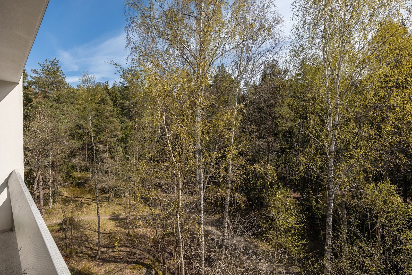 Og vil du på tur - ja, da starter den rett utenfor døren med marka som nærmeste nabo. Galleribilde