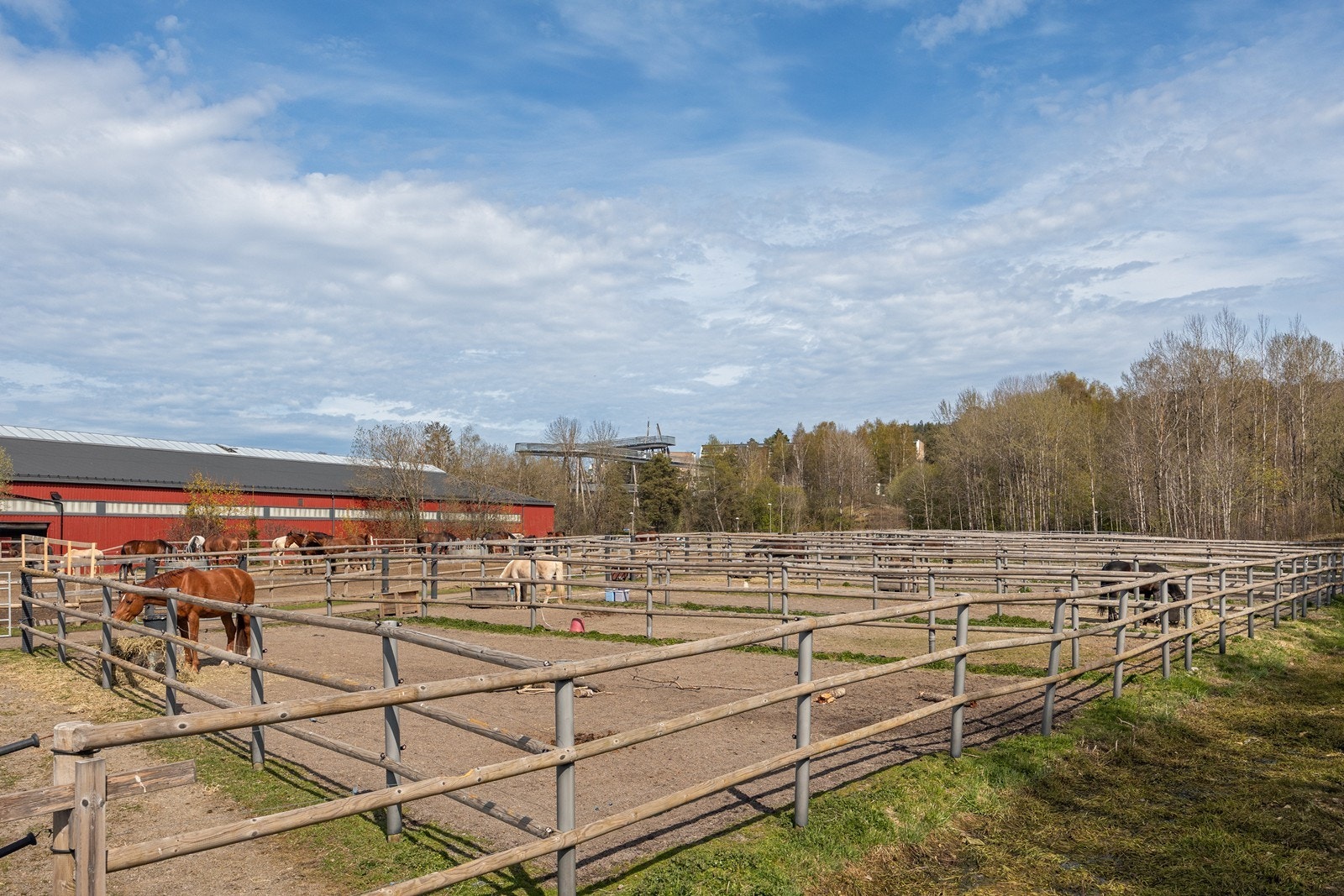 Her tilbys rideundervisnning for barn og voksne i alle aldre. Galleribilde