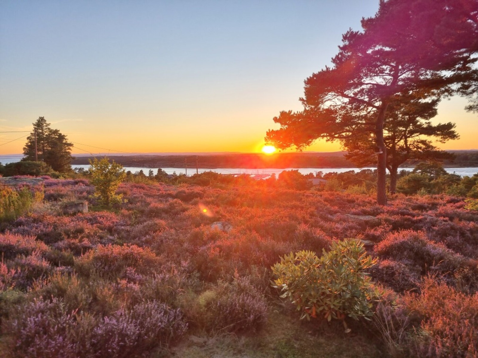 Flott solnedgang fra hytten Galleribilde