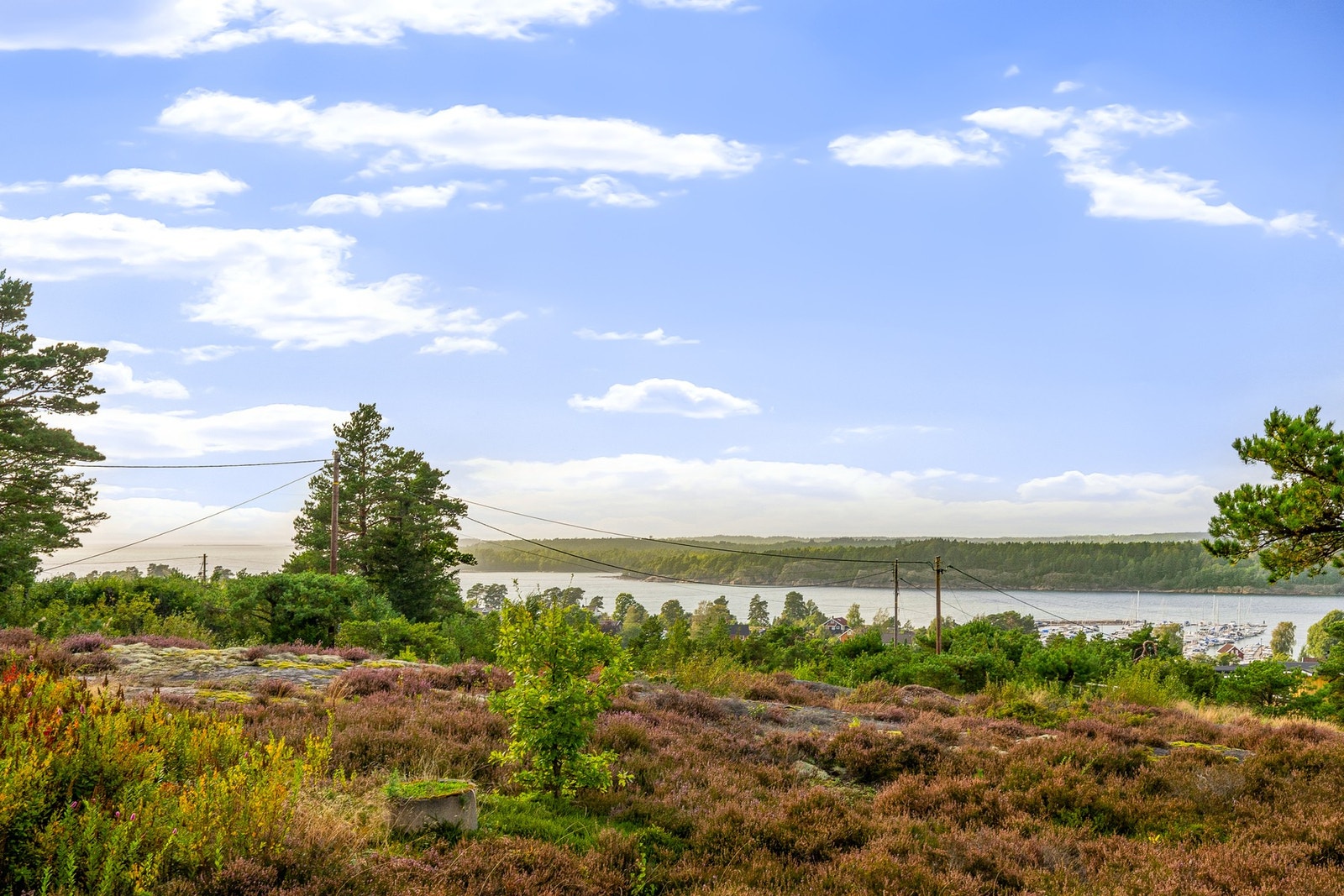 Utsikt fra terrassen mot fjorden og bryggen Galleribilde