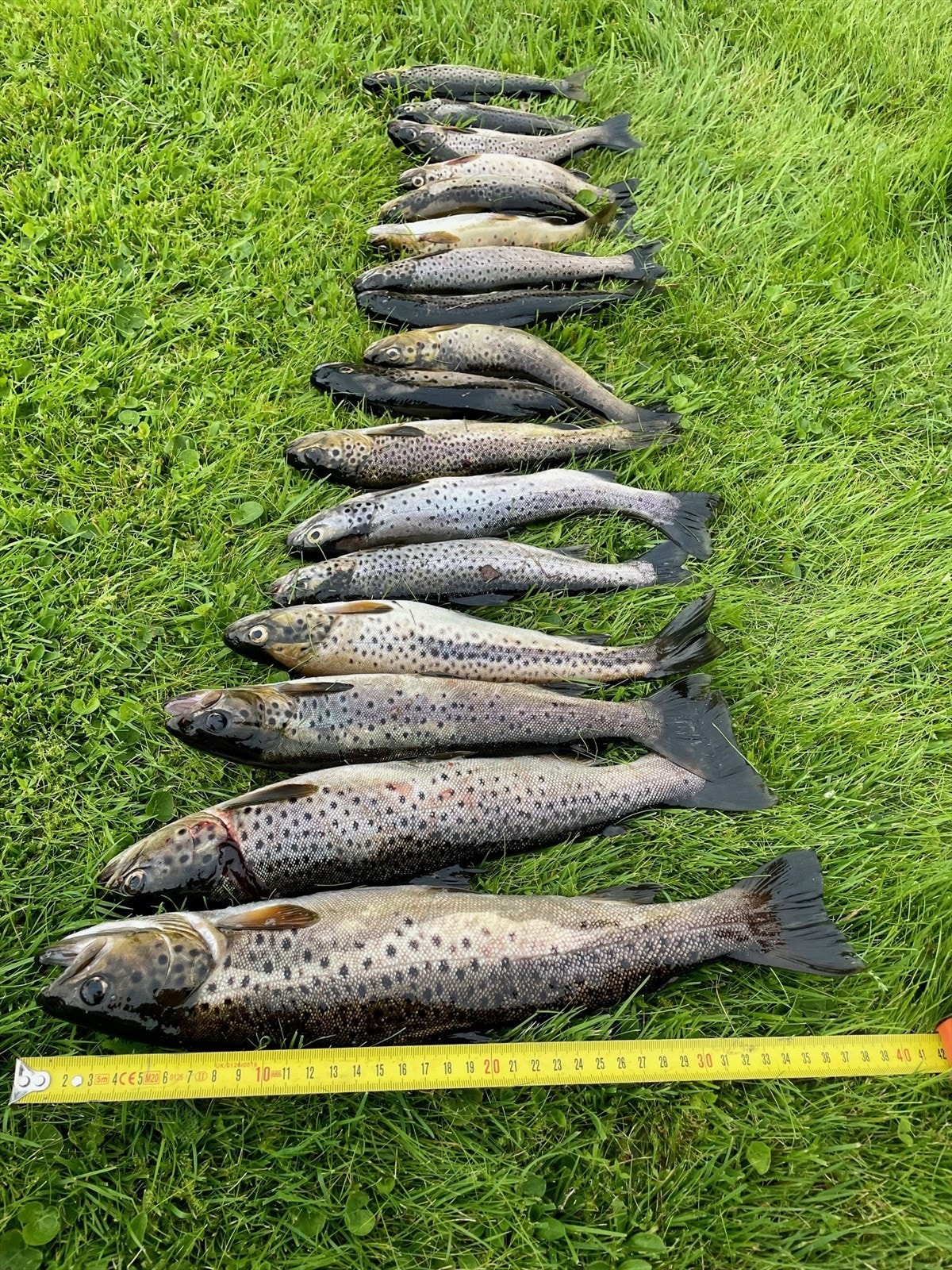Gode fiskemuligheter i Engsetdalsvatnet. Galleribilde