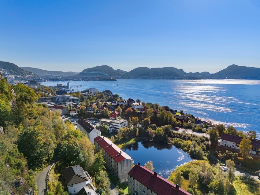 - Nærområde - Galleribilde