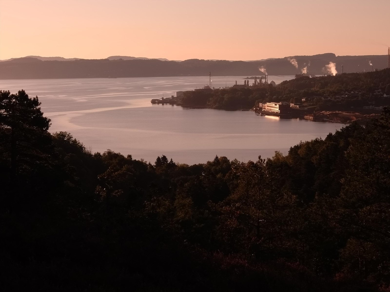 Bilde fra selger Galleribilde