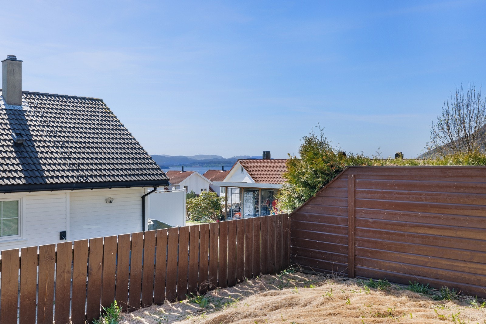 Sjøglimt! Galleribilde