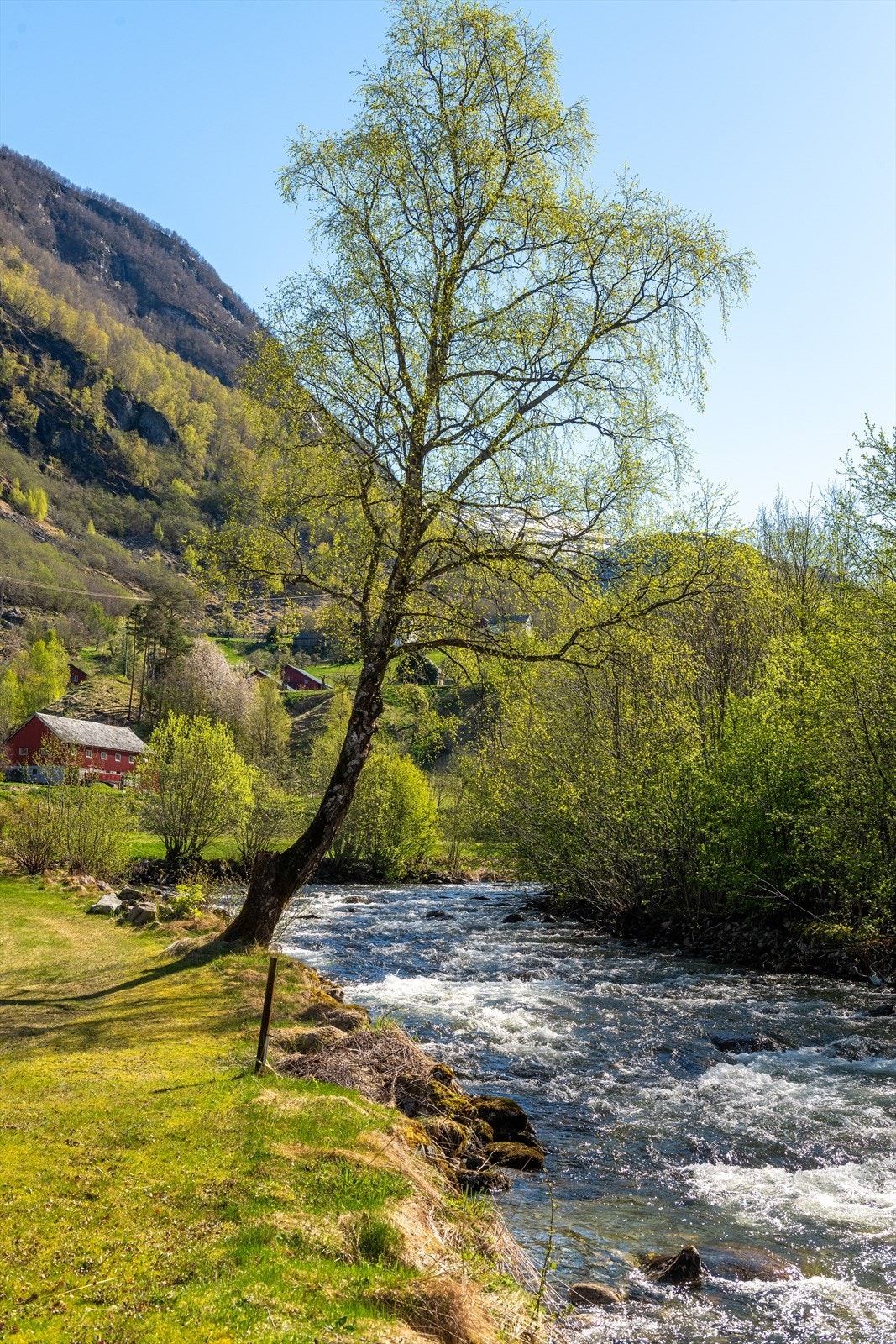 Lyden av rennende vann fra elven bidrar til den fredelige atmosfæren. Galleribilde