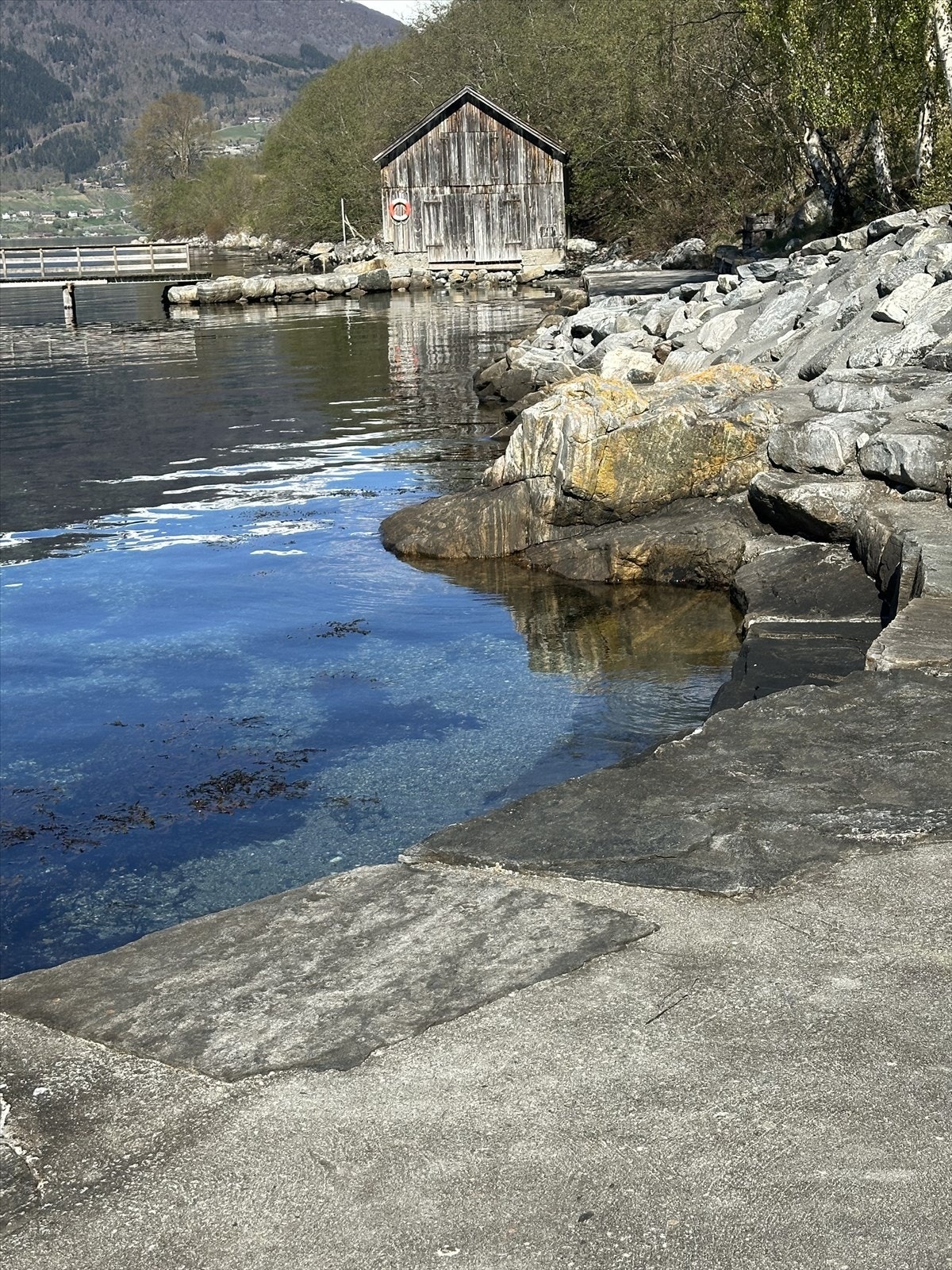Brunstein badeplass ved fjorden - kun en kort spasertur unna, med fine badeplasser Galleribilde