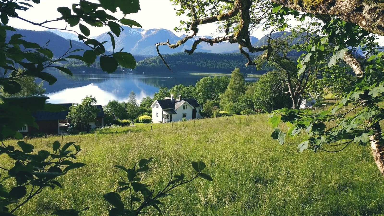 Sommebilde Galleribilde