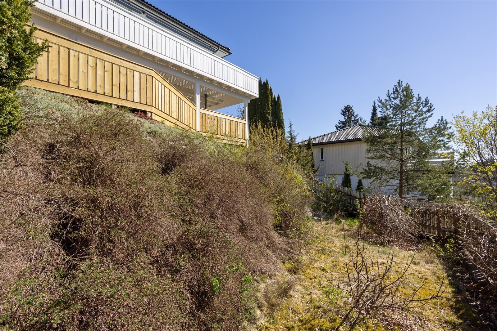 Eiet tomt som er pent og funksjonelt opparbeidet med asfaltert gårdsplass, plen og variert beplantning. Galleribilde