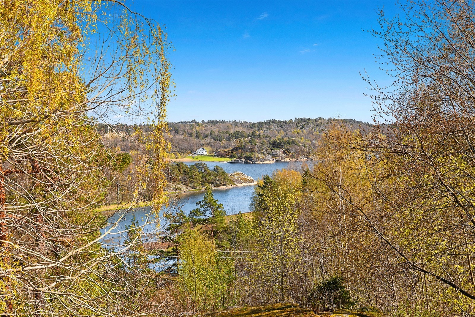 Flott utsyn fra balkongen Galleribilde