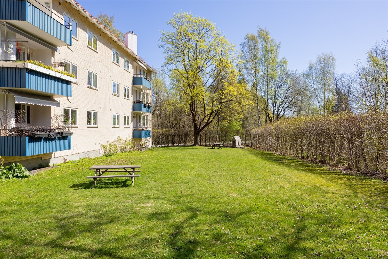 Sameiet disponerer store, grønne fellesarealer som er pent opparbeidet. Galleribilde