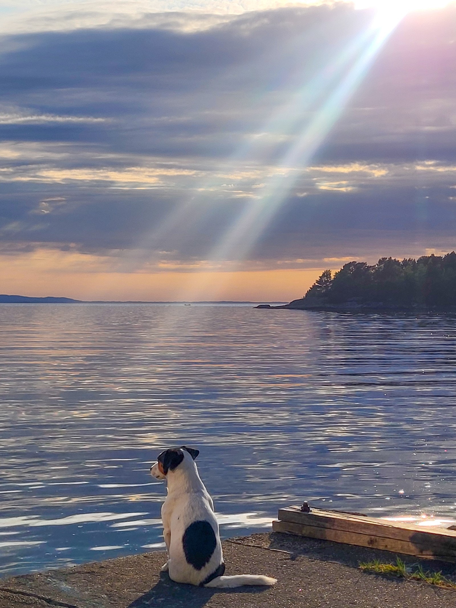 Eiers eget bilde, Idyllet snakker for seg selv Galleribilde