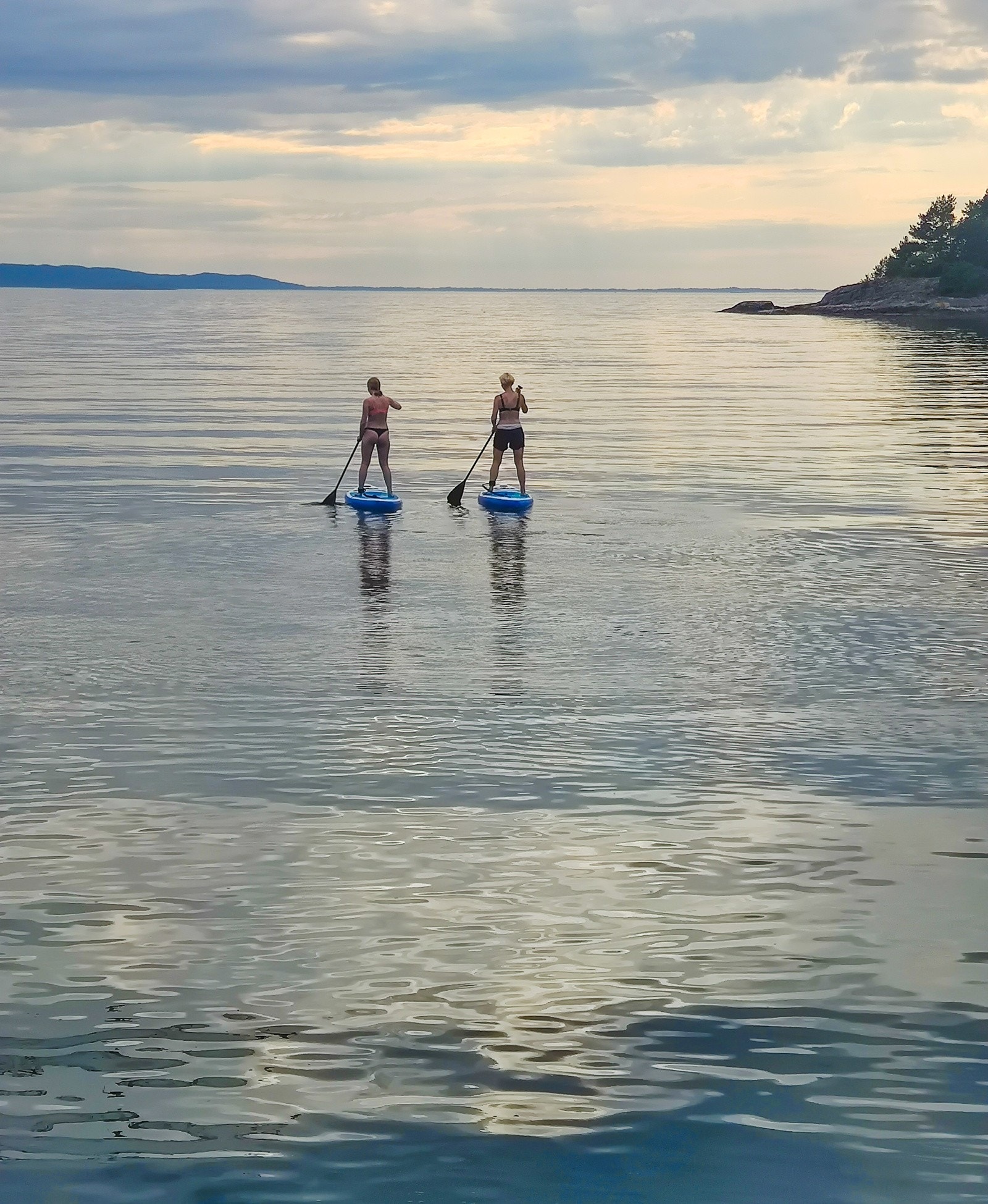 Supbrett tur utover fjorden en varm sommersdag - Selgers bilde Galleribilde